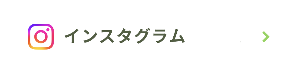 インスタグラム